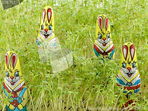 Image of Chocolate easter bunny