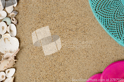 Image of Sea shells on sand. Summer beach background. 