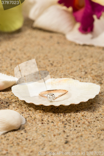 Image of Wedding ring in a shell