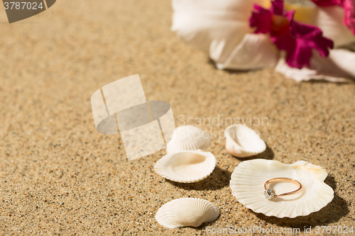 Image of Wedding ring in a shell