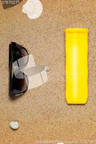 Image of Sea shells on sand. Summer beach background. 