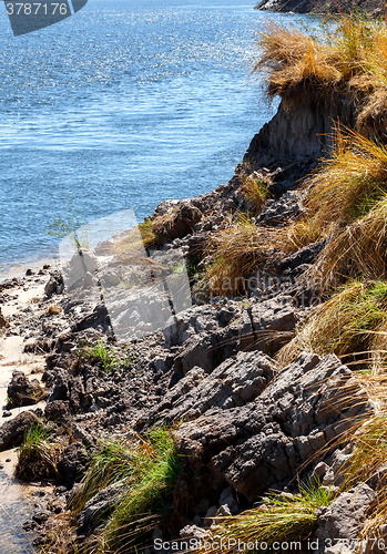 Image of bank of the river zambezi