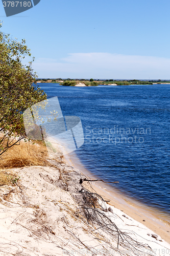 Image of bank of the river zambezi