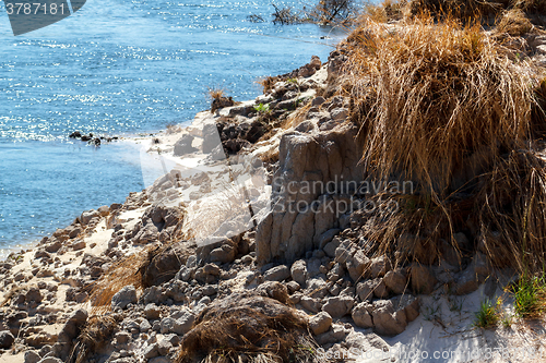 Image of bank of the river zambezi