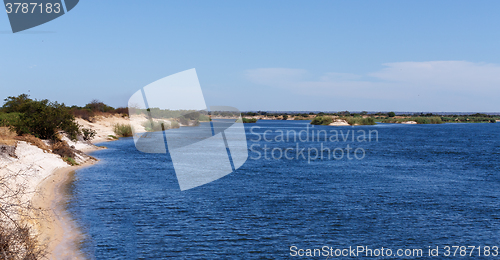 Image of bank of the river zambezi