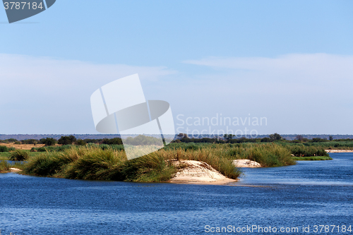 Image of bank of the river zambezi