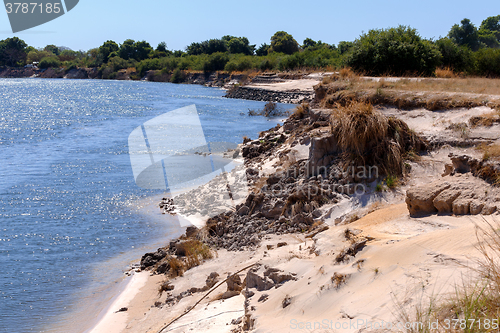 Image of bank of the river zambezi