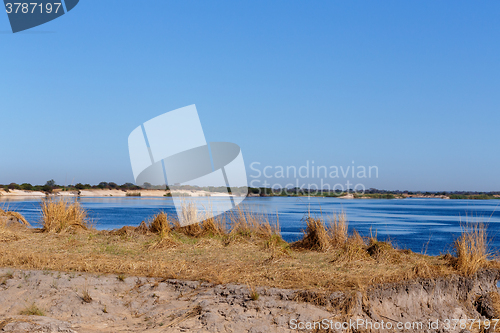 Image of bank of the river zambezi