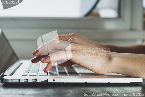 Image of woman\'s hands working on laptop computer