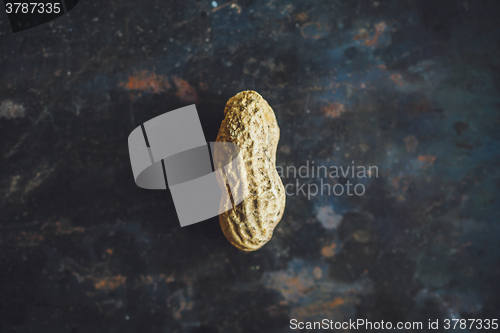 Image of One fresh peanut in shell on dark backgrond