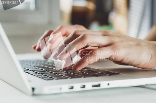 Image of woman\'s hands working on laptop computer