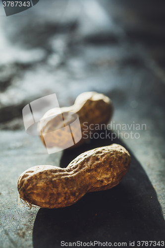 Image of Fresh peanuts in shell