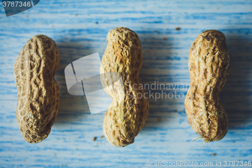 Image of Fresh peanuts in shell on blue desk