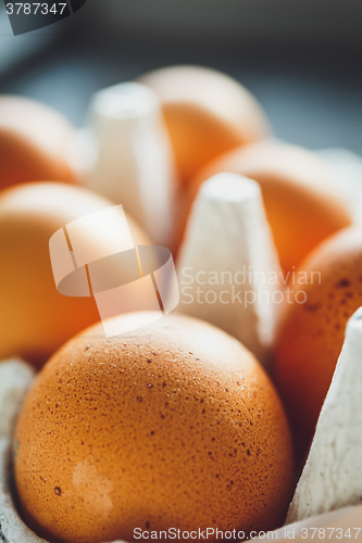 Image of Chicken eggs in egg tray