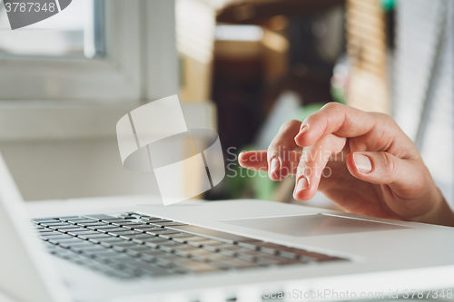 Image of woman\'s hands working on laptop computer