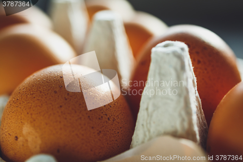 Image of Chicken eggs in egg tray