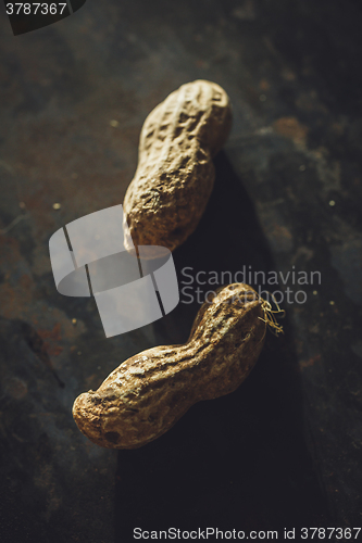 Image of Fresh peanuts in shell