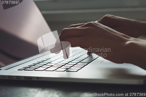 Image of woman\'s hands working on laptop computer