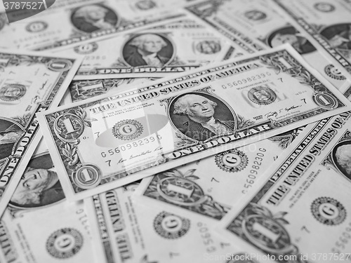 Image of Black and white Dollar notes 1 Dollar