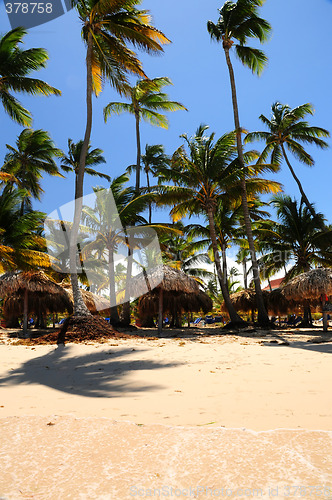 Image of Tropical beach