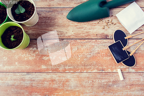 Image of close up of seedlings, trowel and nameplates