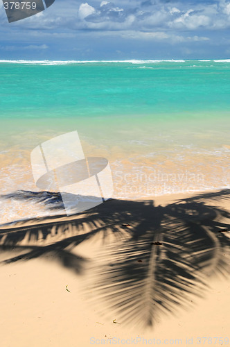 Image of Tropical beach
