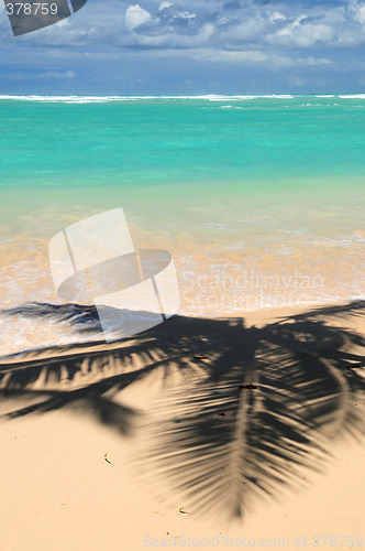 Image of Tropical beach