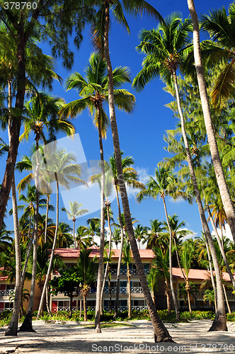 Image of Tropical resort