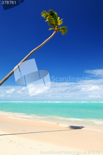 Image of Tropical beach