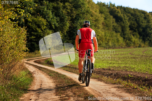 Image of Rider on Mountain Bicycle it the forest