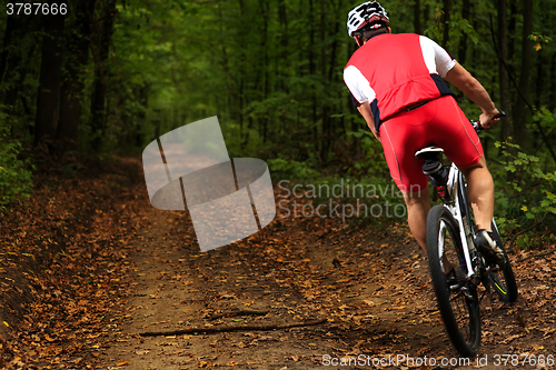 Image of Bicyclist with His Bicycle in the Summer Forest