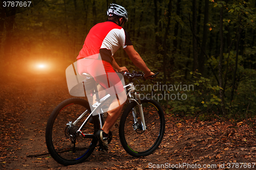Image of Rider in action at Freestyle Mountain Bike Session
