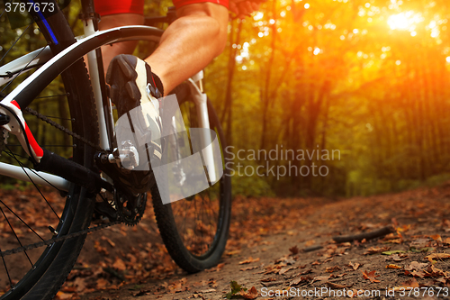 Image of Closeup Bicyclist with His Bicycle in the Summer Forest