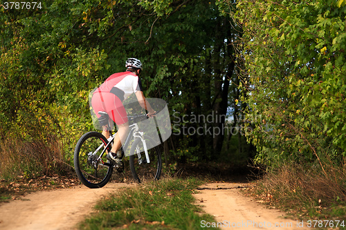 Image of Man is cycling in autumn forest