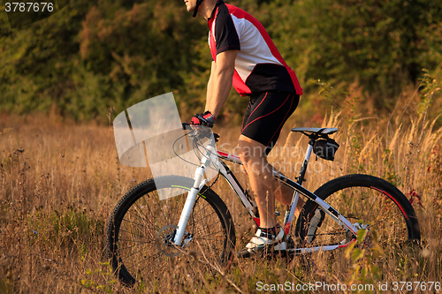 Image of Man Cyclist Riding on bicycle in the Summer Forest