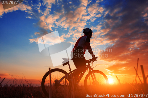 Image of Rider in action at Freestyle Mountain Bike Session