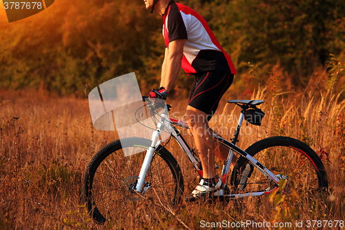Image of Man Cyclist Riding on bicycle in the Summer Forest