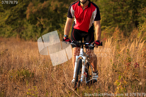 Image of Man Cyclist Riding on bicycle in the Summer Forest