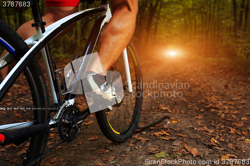 Image of Rider in action at Freestyle Mountain Bike Session