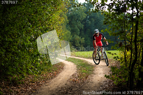 Image of Cyclist riding mountain bike on trail at evening.