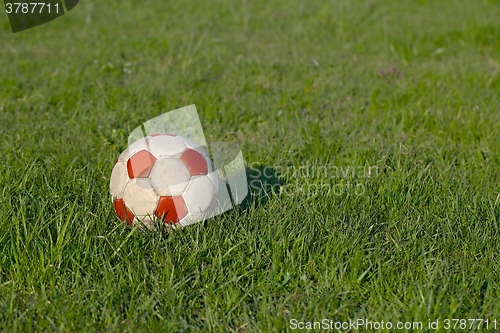 Image of Football on the grass