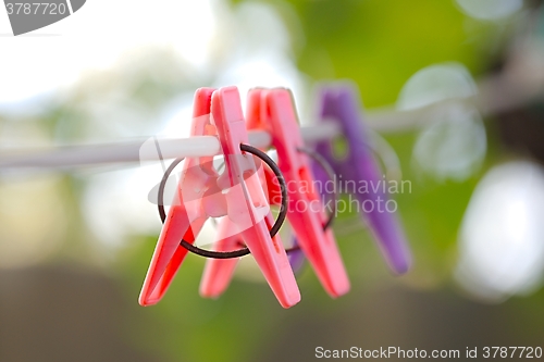 Image of Clothes Pegs Outdoors