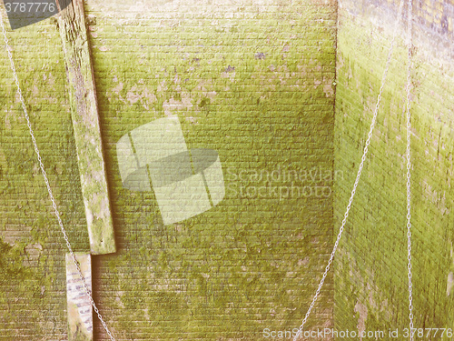 Image of  Green moss vintage