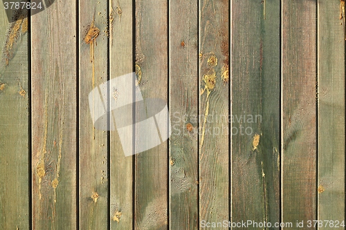 Image of Wooden Lumber Surface