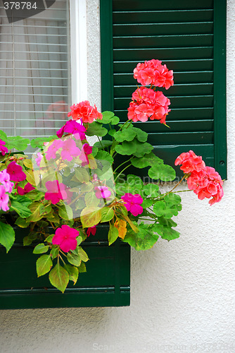 Image of House flower box