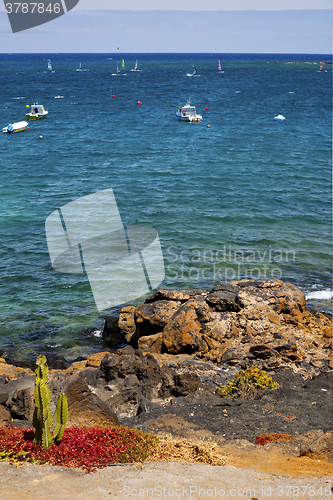 Image of surf cactus coastline lanzarote  in spain musk 