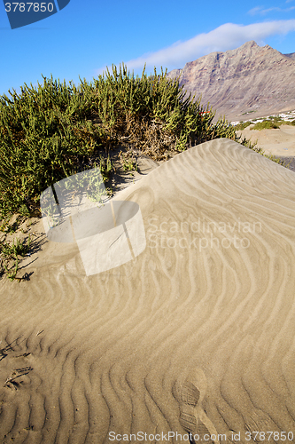 Image of  village  yellow dune beach  hil and mountain in the   lanzarote