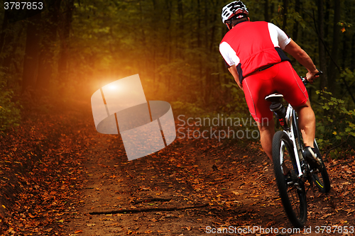 Image of Rider in action at Freestyle Mountain Bike Session