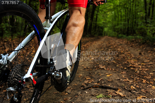 Image of cyclist riding mountain bike on rocky trail