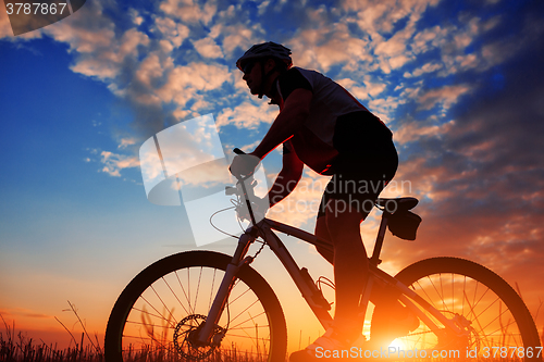 Image of Rider in action at Freestyle Mountain Bike Session